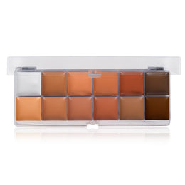 KissICON 1 12color Matte Waterproof Full Coverage Concealer