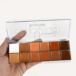 KissICON 1 12color Matte Waterproof Full Coverage Concealer