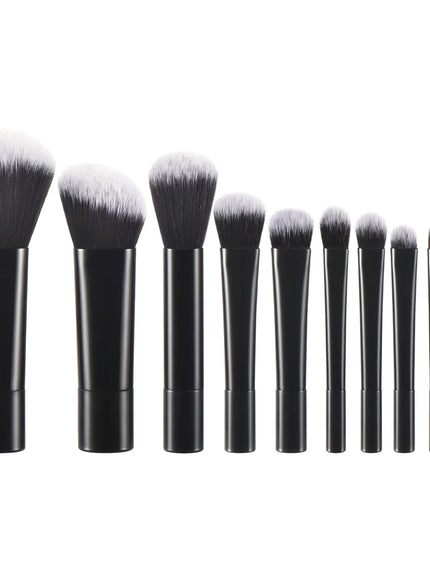 KissICON 10 PCS 1 KissIcon 10 Color Mini Makeup Brush Set Portable