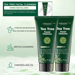 KissICON 2pcsx100g 2pcs Tea Tree Cleanser Gentle Foam