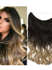 4H24-Brown&Blonde