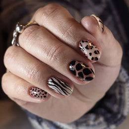 KissICON 5 Autumn Almond False Nails 24Pcs Glossy Brown Leopard