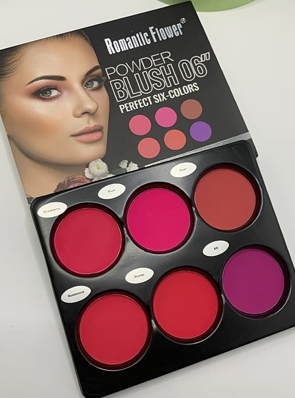 KissICON 6 Color Blush Palette 6color Matte Blush Highlighter Palette Natural