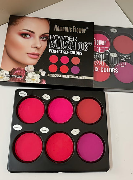 KissICON 6 Color Blush Palette 6color Matte Blush Highlighter Palette Natural