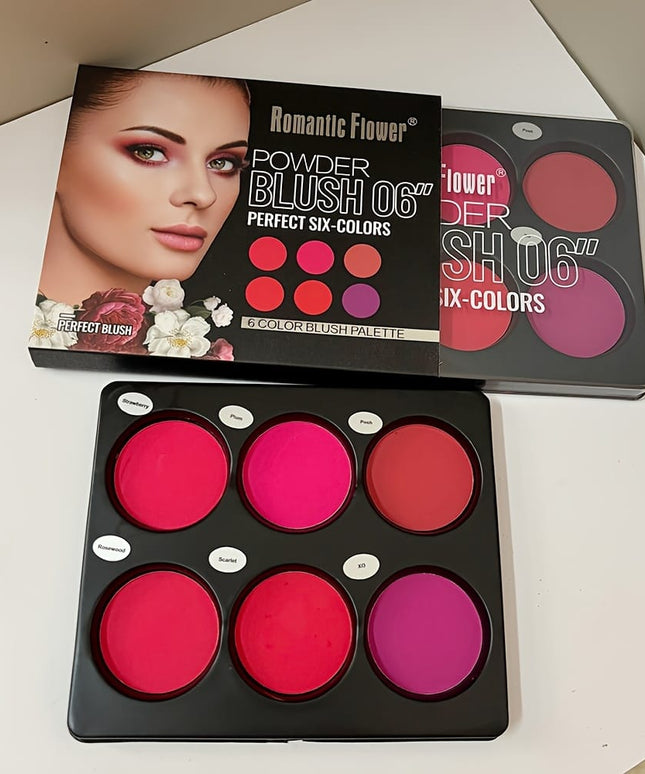 KissICON 6 Color Blush Palette 6color Matte Blush Highlighter Palette Natural