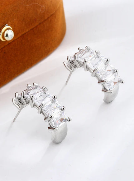 Exquisite 925 Silver Plated Full Diamond Women's Earrings Fashion C Earrings High Quality Anniversary Gift Everyday Wear Jewelry