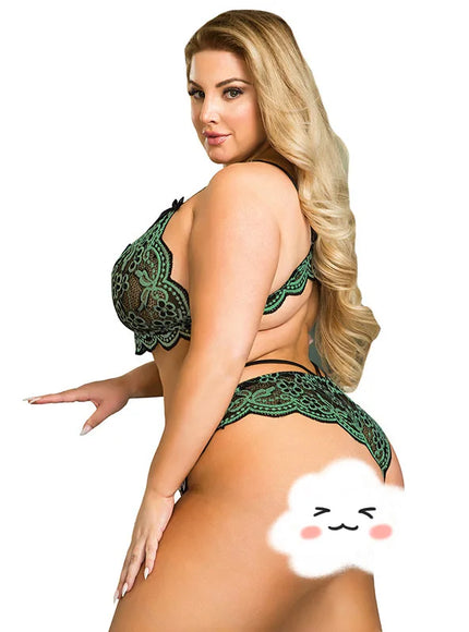 plus size sexy lingerie lace cross band embroidery decoration sexy bra panties lingerie set wholesale from M-5XL