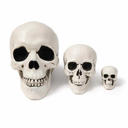Halloween Skull Decoration,Realistic Plastic Skull,Head Skeleton,Halloween Party Home Yard Decoration,Haunted House Horror Props