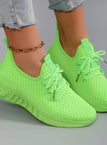 light green / 41