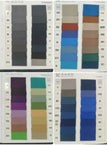 Custom Color / M