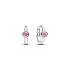 silver earrings 10