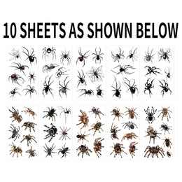 10pcs 3D Spider Temporary Tattoos - Realistic Waterproof & Easy- Stickers for Halloween Costumes, Makeup, and Party Supplies