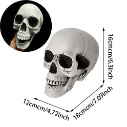 Halloween Skull Decoration,Realistic Plastic Skull,Head Skeleton,Halloween Party Home Yard Decoration,Haunted House Horror Props