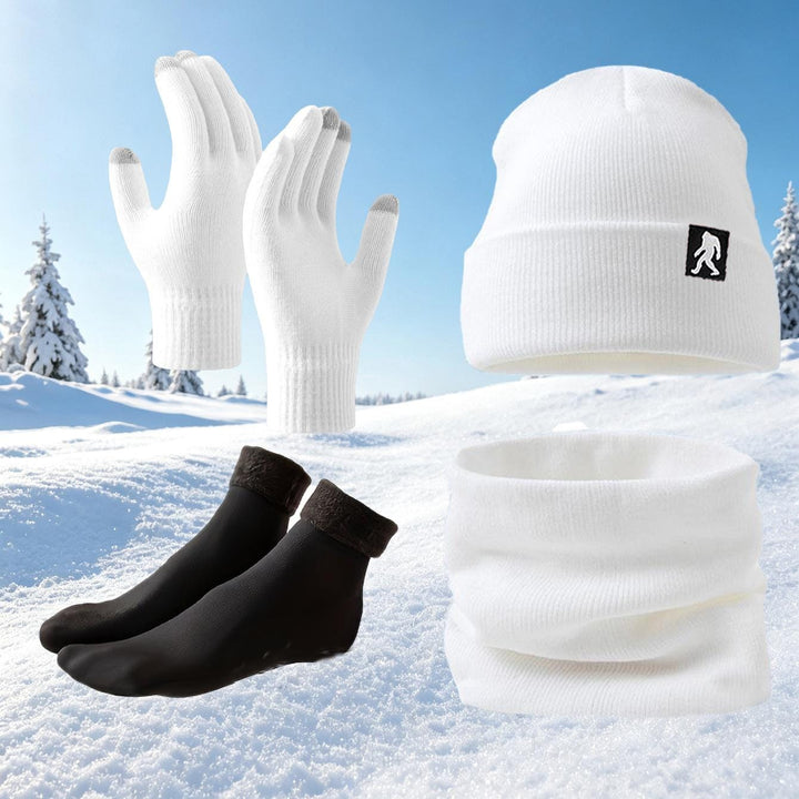Cozy 4Piece Winter Hat Scarf Gloves Socks Set