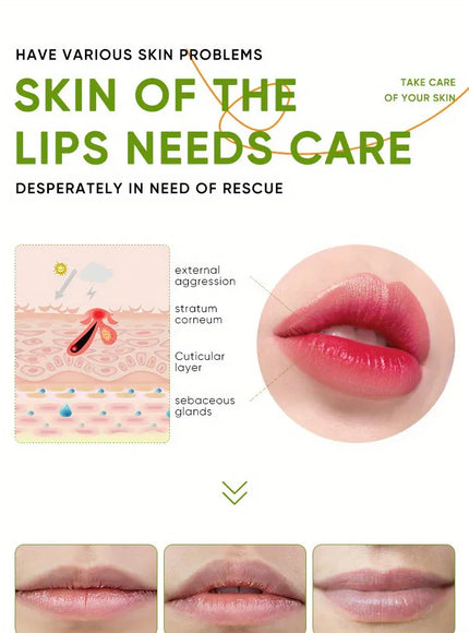 KissICON Aloe Lip Aloe Balm - Nourishing Hydration Prevents Cracking