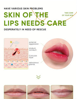 KissICON Aloe Lip Aloe Balm - Nourishing Hydration Prevents Cracking