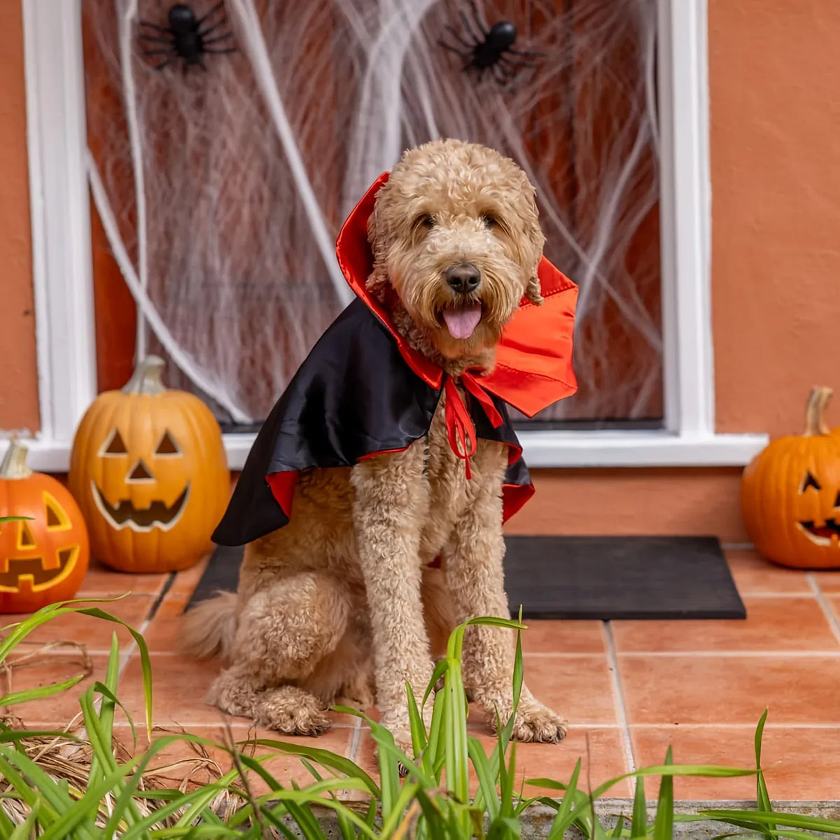 KissICON black Halloween Dog Costume Cat Costume Vampire Cape Pet Costume Funny Devil Cloak Cosplay Outfit Halloween Party Dress Up Accessories