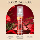 blooming rose