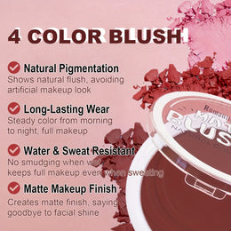 KissICON Buildable 4shade Matte Blush Waterproof Longlasting