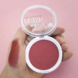 KissICON Buildable 4shade Matte Blush Waterproof Longlasting