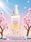Cherry Blossoms