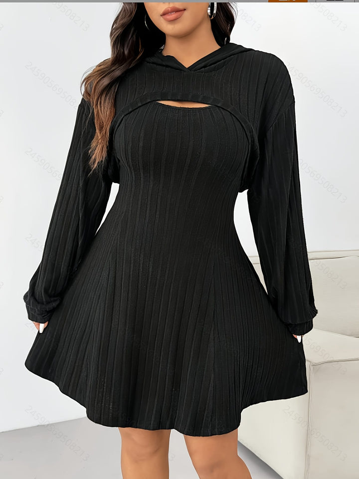 Chic Elegant Plus Size TwoPiece Set Long Sleeve Top  Ribbed Dress