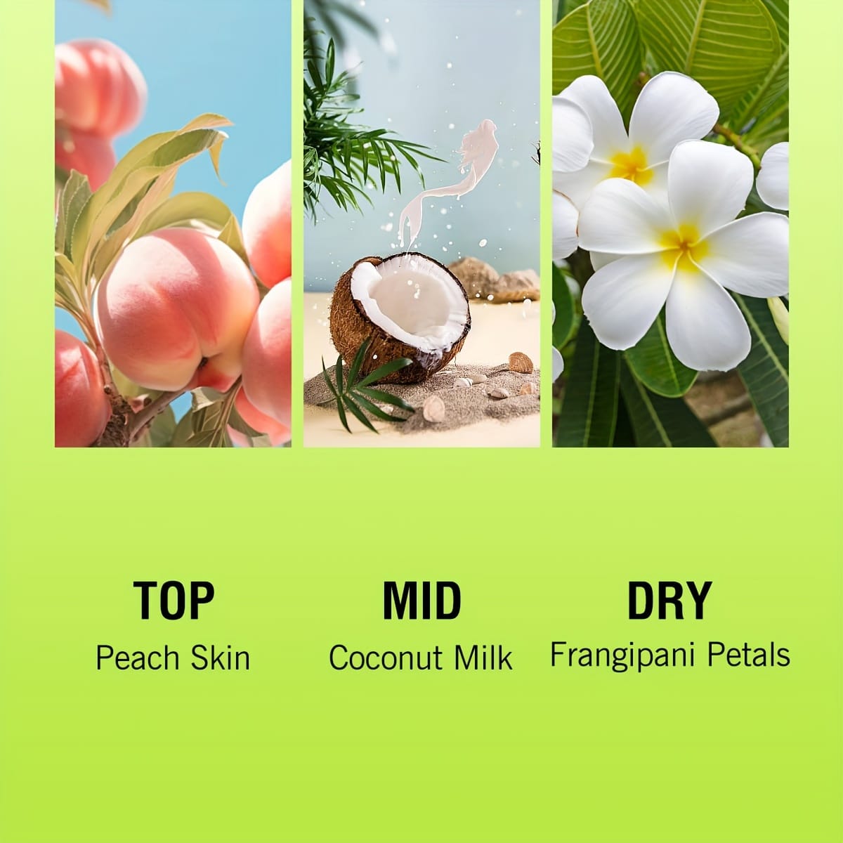 KissICON Fresh sunflower tone KissIcon Brazilian Body Fragrance Mist Long Lasting Scent