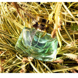 KissICON KissIcon Grapefruit 50ml Perfume Women - Fresh Floral