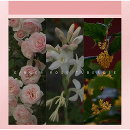KissICON KissIcon Oriental Perfume Women Floral Scent Jasmine -