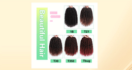 KissICON Kissicon Yorostar 8 Crochet Hair Extensions