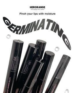 KissICON Mirror Lipstick Moisturizing and Pouty Lips Smooth Color