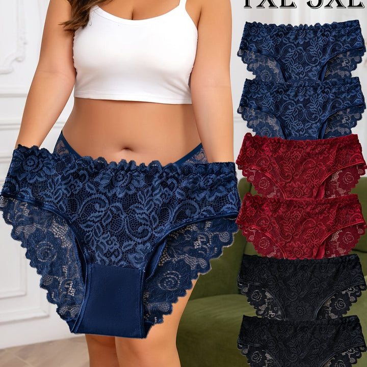 Curve Sheer Lace Briefs – 6pc