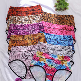KissICON Mixed colors / UK 16 Curve Leopard Colorblock Briefs – 10pack