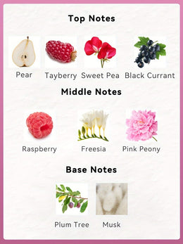 KissICON Pea/Pear/Tayberry/BlackCurrant Sweet Pea Pear Tayberry 8 Oz Body Mist