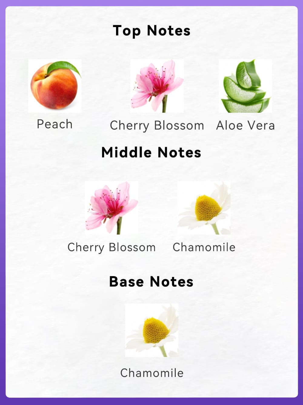 KissICON Peach/CherryBlossom/Aloe Vera KissIcon Peach Blossom Body Fragrance Mist - All