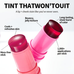 VICTRIAKEY 4 Shades Jelly Blush  Lip Stick Duo High Quality Matte Finish Light Beige Correcting Medium Coverage Red Tones for Cheeks  Lips Makeup Collection