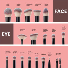 Rose Princess 18pc Professional Makeup Brush Kit