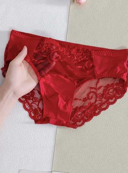 KissICON Red / UK 40-42 Lace Trim Mesh Briefs – Soft Highelasticity