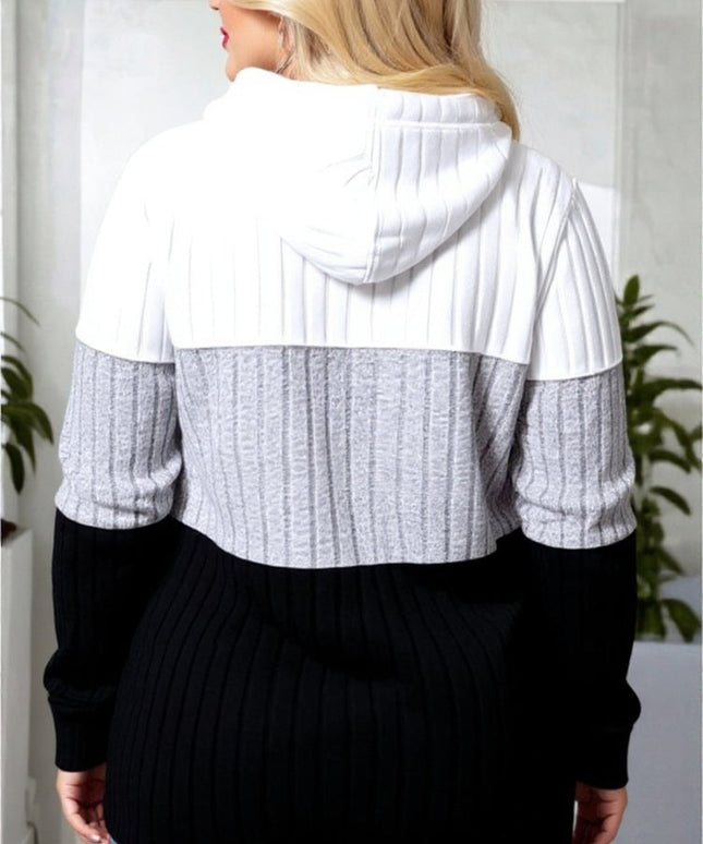 Color Block Ribbed Knit Hoodie