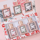 SetD Set(30mlx3)